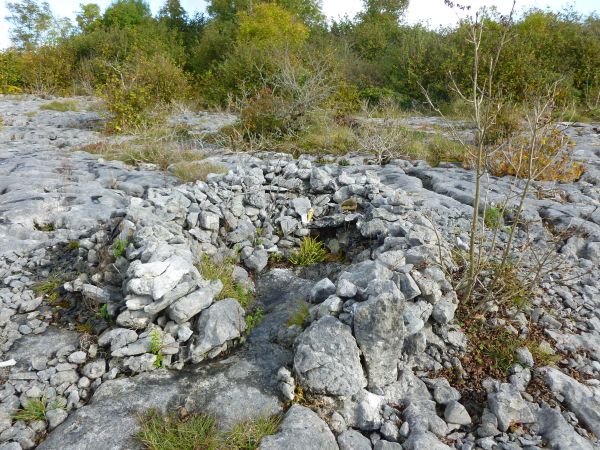 Holy Wells of the Burren - Tobar Iníon Baoith, Commons South, Killinaboy