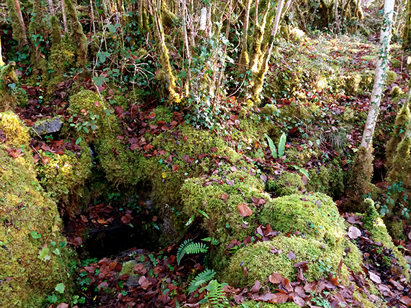 Tobergahard Burren Holy Wells