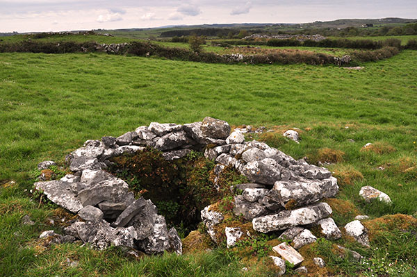Tobar Chamín, Caherminnaun West, Kilfenora - Burren Holy Wells
