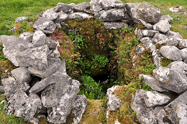 Tobar Chamín, Caherminnaun West, Kilfenora - Burren Holy Wells
