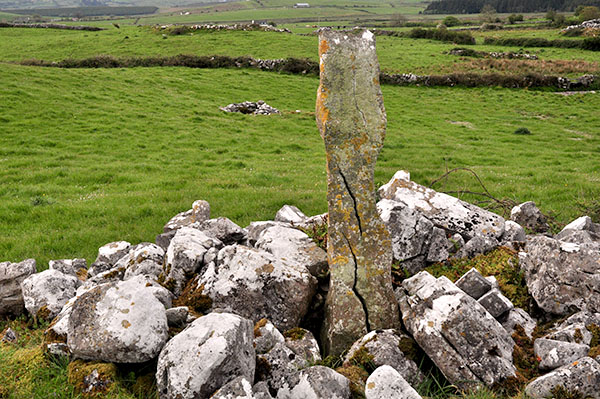 Tobar Chamín, Caherminnaun West, Kilfenora - Burren Holy Wells