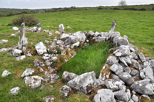 Tobar Chamín, Caherminnaun West, Kilfenora - Burren Holy Wells